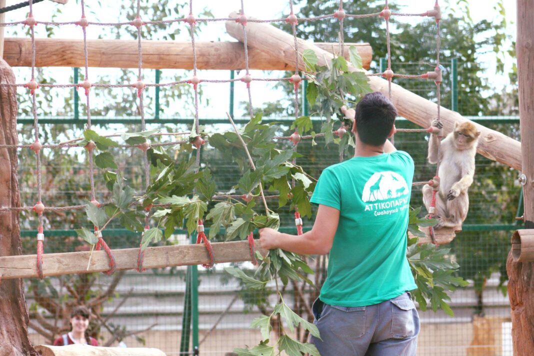 Απειλούνται 300 ζώα στο Αττικό Ζωολογικό Πάρκο στα Σπάτα λόγω lockdown