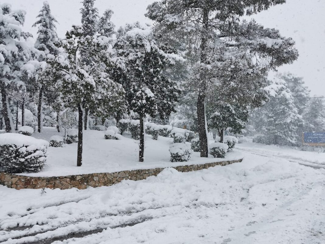 Τα εκχιονιστικά και οι αλατιέρες του δήμου στο Ντράφι