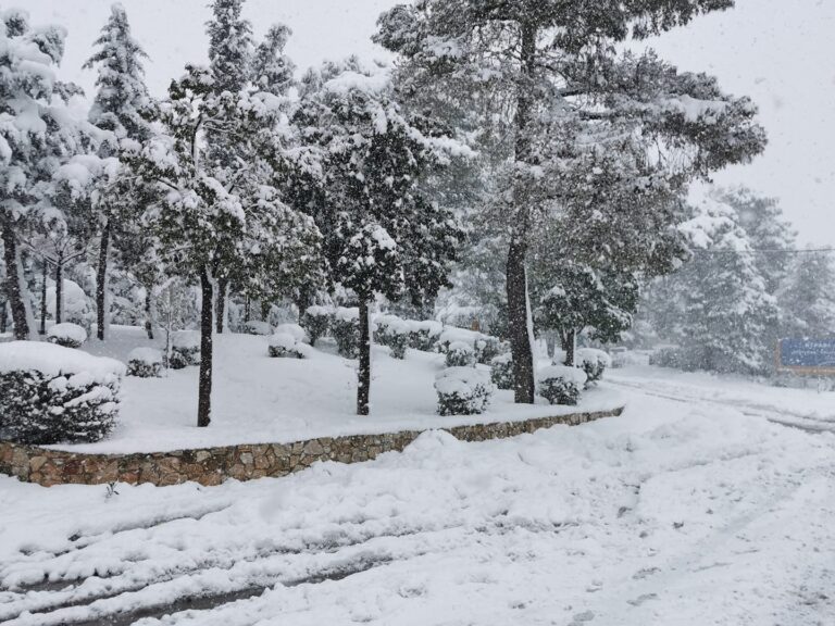 Τα εκχιονιστικά και οι αλατιέρες του δήμου στο Ντράφι