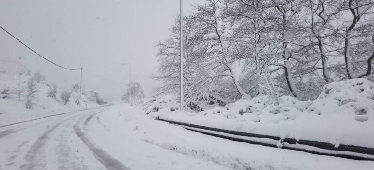 Ο δήμος Μαραθώνος σε συνεχή επαγρύπνηση σε Βαρνάβα και Γραμματικό-προσοχή στον παγετό