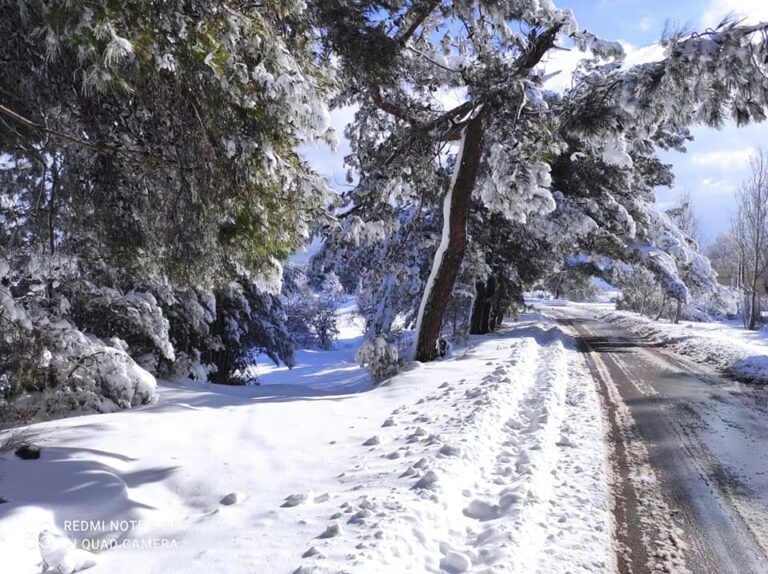 Συνεχίζεται η διάνοιξη των δρόμων σε Βαρνάβα, Γραμματικό και Νέο Βουτζά