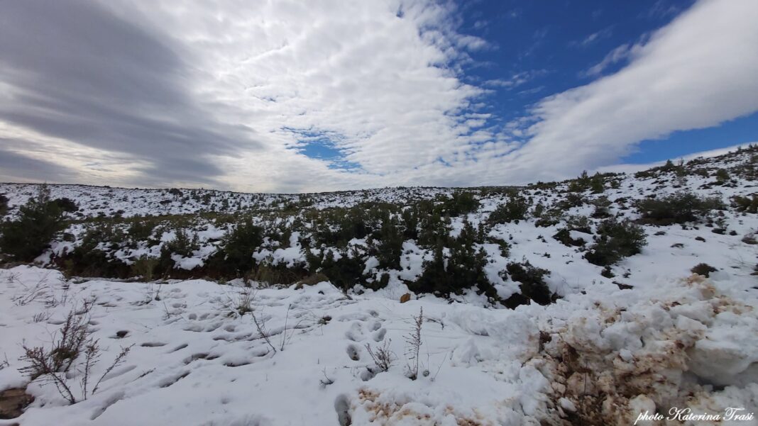 Οδοιπορικό του rpn.gr στην Διώνη 4 ημέρες μετά την ”Μήδεια”(φωτο-βίντεο)