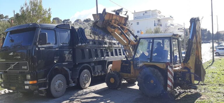 ΣΠΑΠ και Περιφέρεια μαζεύουν κλαριά από πεσμένα δέντρα στην Πεντέλη