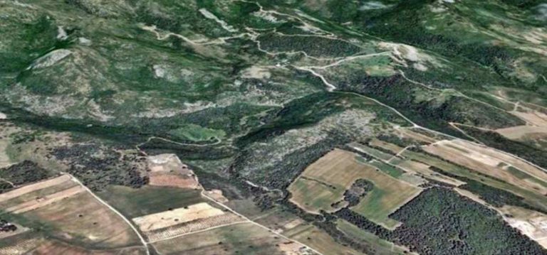 Ο Δήμος Ραφήνας Πικερμίου δημιουργεί πλατφόρμα παροχής πληροφοριών για την δασική κατάσταση ακινήτων