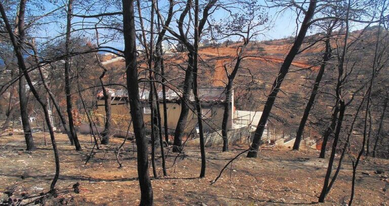 Αναφορά βουλευτού Ανατ. Αττικής Νάσου Αθανασίου για τους πυρόπληκτους του Αγ.Ανδρέα από τον Νοέμβριο του 2020