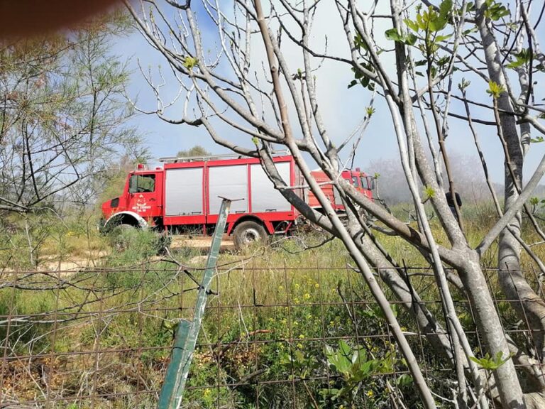 Πως ξεκίνησε η φωτιά δίπλα στο Πολιτιστικό Πάρκο της Νέας Μάκρης σήμερα