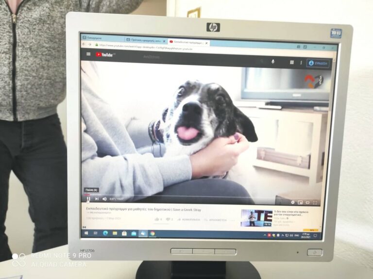 Διαδικτυακό εκπαιδευτικό πρόγραμμα για τα αδέσποτα ζώα στα σχολεία του Δήμου Μαραθώνος