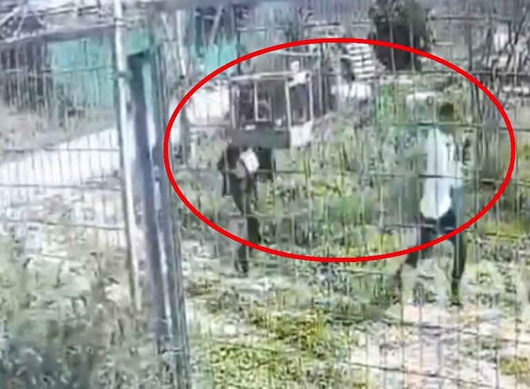 Αδίστακτοι ληστές βασάνιζαν ηλικιωμένους στην Βόρεια και Ανατολική Αττική(βίντεο)