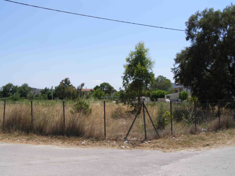 Προειδοποίηση από τους δήμους: Φυλάκιση & πρόστιμο για όσους δεν καθαρίζουν οικόπεδα και ακάλυπτους χώρους