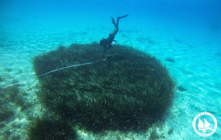 Περιορίζοντας το Αποτύπωμα που Προκαλούν οι Καθημερινές μας συνήθειες στο Θαλάσσιο Περιβάλλον