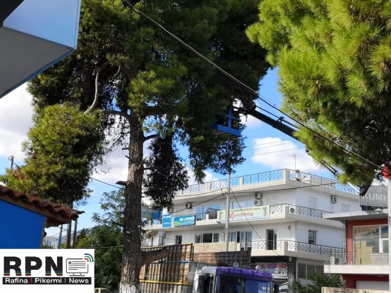 Δήμος Ραφήνας Πικερμίου: Ενημέρωση για τη διαδικασία κλαδέματος δέντρων από τον ΔΕΔΔΗΕ 