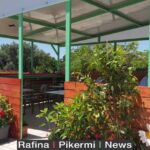 186558344_503871564361209_2397247194000180203_n