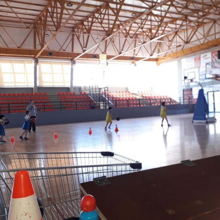 Ξεκίνησαν οι Ακαδημίες Μπάσκετ του Αργοναύτη Τριγλίας Ραφήνας