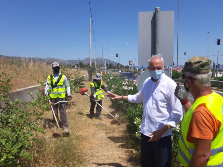 Εργασίες αποψίλωσης στην Ν.Μάκρη από την Περιφέρεια Αττικής