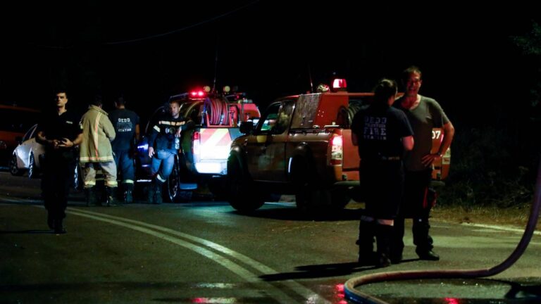 Φωτιά στην Λ. Διονύσου στον Άγιο Πέτρο προς Ν.Μάκρη