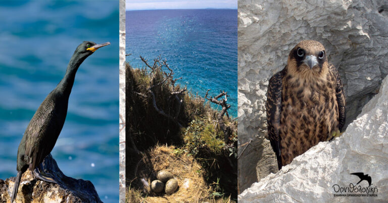 ”Όχι” στις ανεμογεννήτριες στις νησίδες του Ν.Αιγαίου από το Υπουργείο Περιβάλλοντος και Ενέργειας