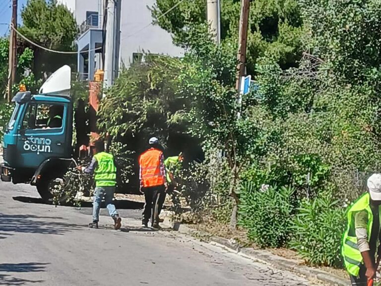 Αποκομιδή των κλαδεμάτων ΔΕΔΔΗΕ σε Διώνη και Περιβολάκια