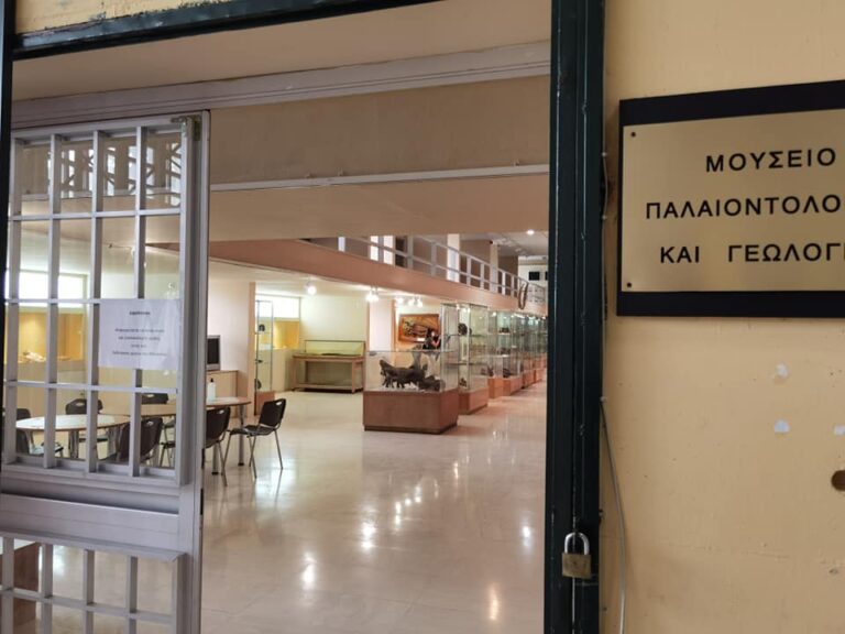 Σύντομα νέο Μουσείο Παλαιοντολογίας στο Πικέρμι