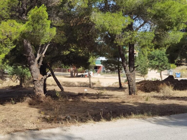 Πικέρμι: Ξεκινούν τα έργα για δύο νέες οδούς διαφυγής στη Διώνη
