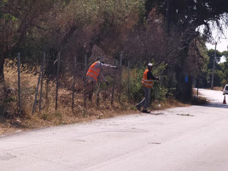 Αποψιλώσεις και κλαδέματα κατά μήκος της Αρίωνος στην Δροσιά Ραφήνας(φωτο)