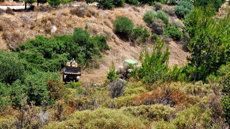Ραφήνα: Σε εξέλιξη αποψιλώσεις για την πυροπροστασία της Καλλιτεχνούπολης(φωτο)