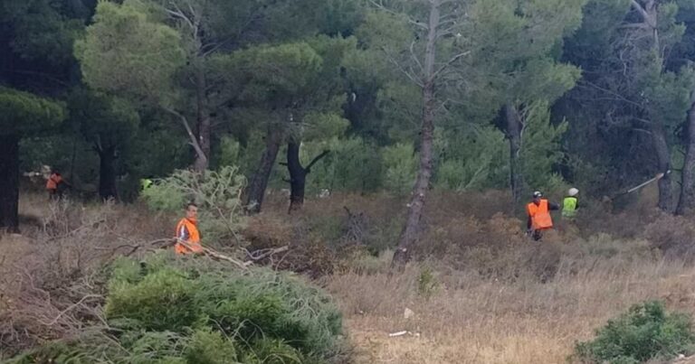Δήμος Ραφήνας Πικερμίου: Ξεκίνησε σήμερα από τη Διώνη η επιχείρηση “Δρυάδες” για την αντιπυρική θωράκιση