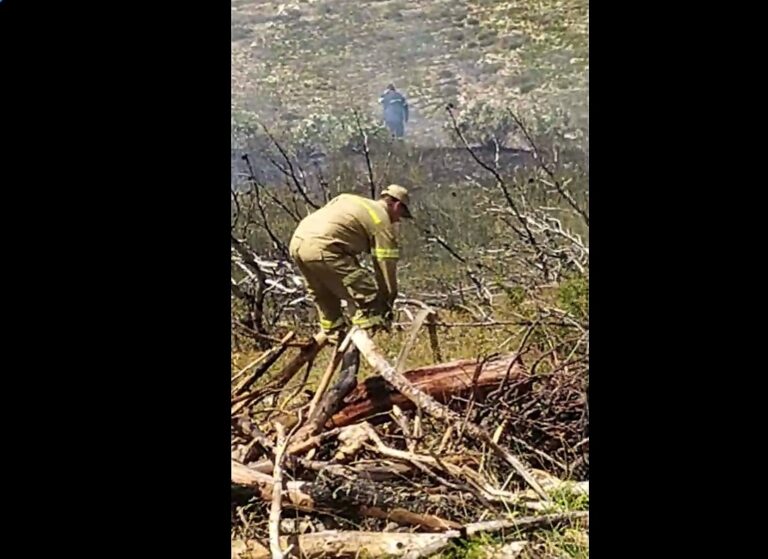 Φωτιά σε χαράδρα στο Ν.Βουτζά (φωτο-βίντεο)