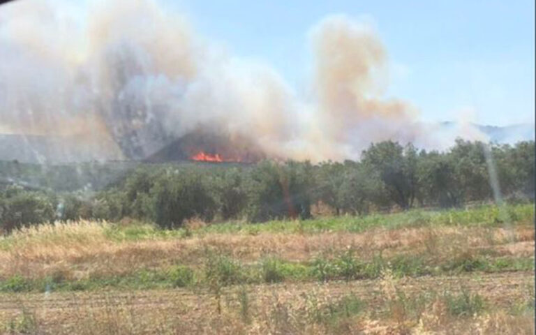 Μεγάλη φωτιά στο Κάτω Σούλι Μαραθώνα