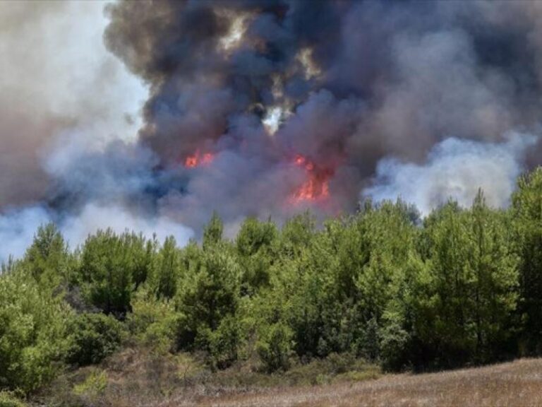 Πυρκαγιά σε δασική έκταση στη Βραυρώνα