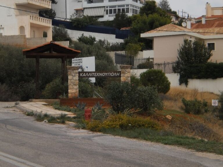 Βανδαλισμοί και παραβατικές συμπεριφορές νεαρών στην Καλλιτεχνούπολη