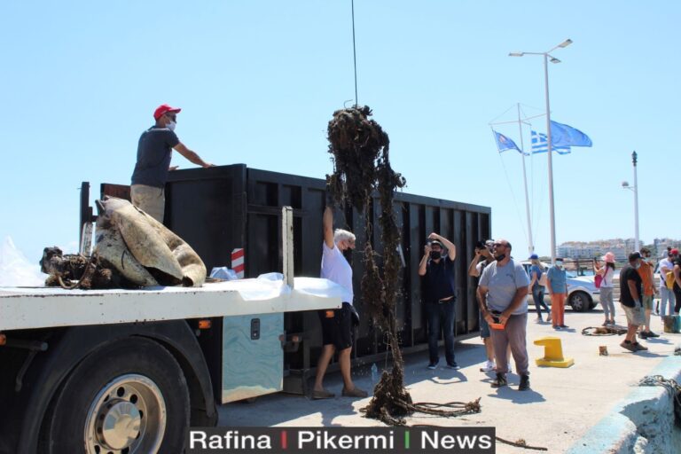 Δέσποινα Γικάκη: Πάνω από 2 τόνοι απορρίμματα ανασύρθηκαν από το λιμάνι της Ραφήνας!