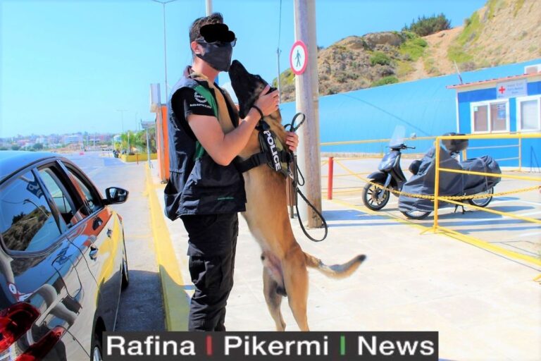 Πως ο ”Ράντο” ανακαλύπτει τα ναρκωτικά στο λιμάνι της Ραφήνας(φωτο-βίντεο)