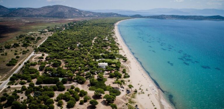 Ανακοίνωση για την προστασία του Εθνικού Πάρκου Σχινιά και την πρόσβαση του λαού σε αυτό