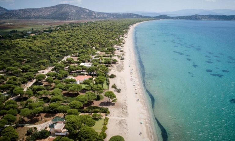 Σε ποιους δρόμους απαγορεύεται η κυκλοφορία σε Μαραθώνα και Νέα Μάκρη λόγω υψηλού κινδύνου πυρκαγιάς
