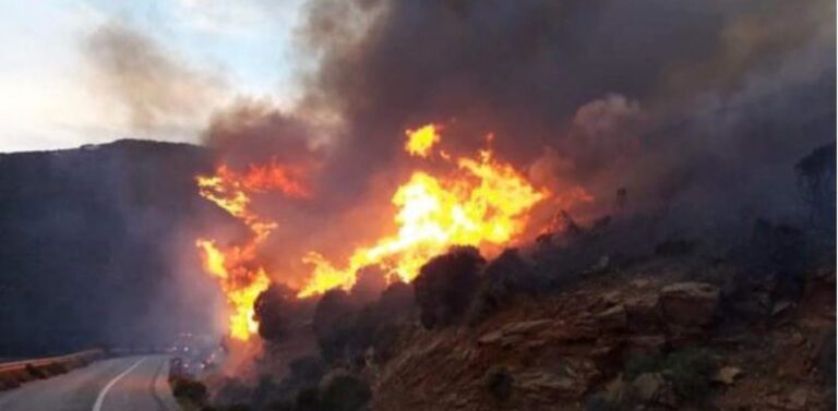 Φωτιά στην Άνδρο- επιχειρούν και πυροσβεστικά αεροσκάφη