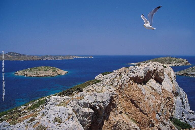 Το χρονικό μιας κοινής προσπάθειας για τα «Γκαλαπάγκος της Μεσογείου»