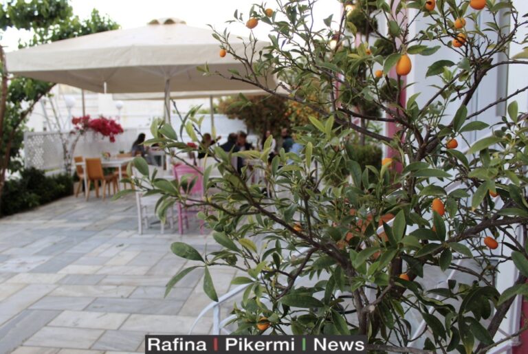 Καλή και νόστιμη εβδομάδα με το μενού της Κατσαρόλας από 12 έως 17/7