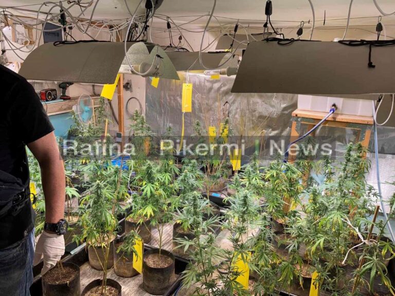 Αποκλειστικό βίντεο: Οι κομάντο του Λιμενικού Ραφήνας εντοπίζουν εργαστήριο με δενδρύλλια ινδικής κάνναβης- μια σύλληψη
