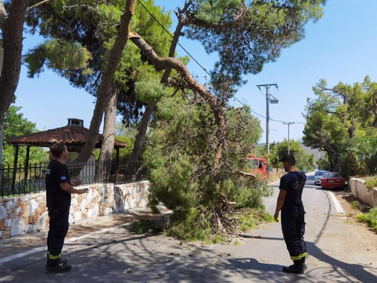 Ελεύθερη η πρόσβαση στο Κέντρο Υγείας Ραφήνας μετά από πτώση δέντρου(φωτο)