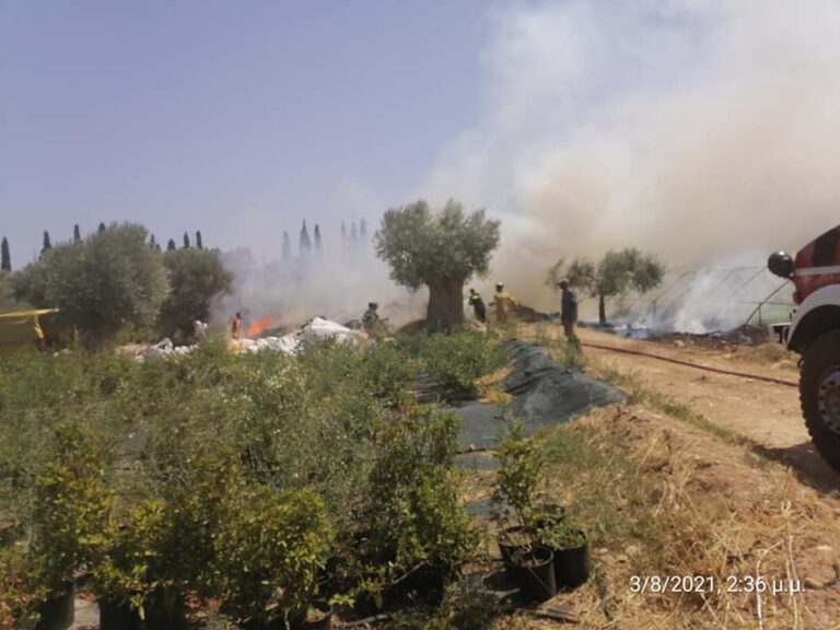 Εν τη γενέσει της πρόλαβαν φωτιά στο Μαραθώνα Πολιτική Προστασία και Πυροσβεστική(φωτο)