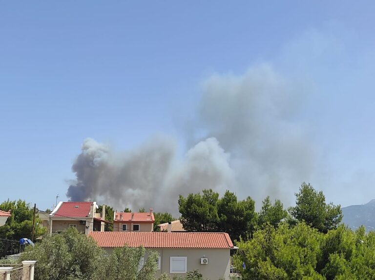 Πυρκαγιά σε δασική έκταση στη Βαρυμπόμπη- στη μάχη και το ρωσικό Beriev(φωτο- βίντεο)