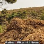 231844349_2031319727034917_2083841453771705923_n