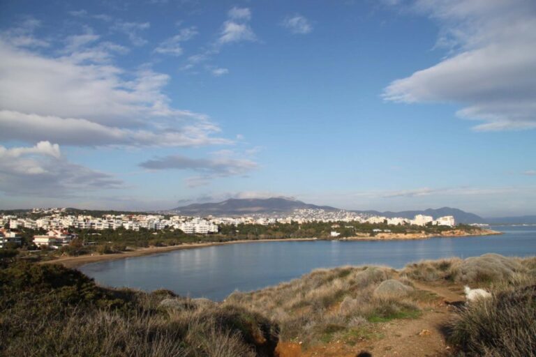 Ραφήνα: Ο Εξωραϊστικός Σύλλογος Νηρέας καλεί όλους τους φίλους και κατοίκους σε εθελοντικές περιπολίες