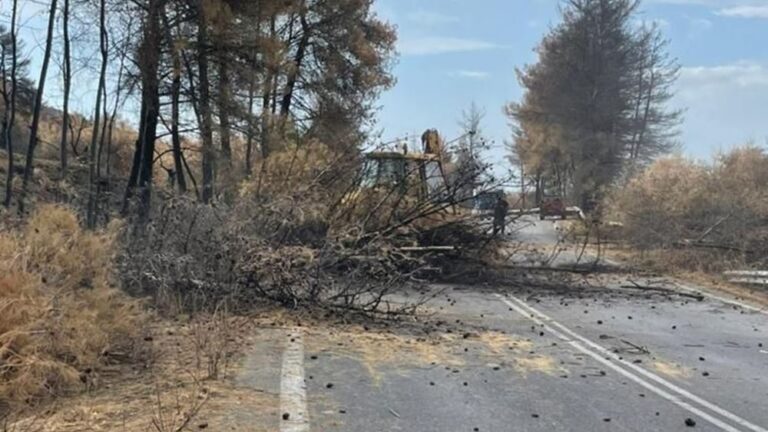 Meteo: Κάηκε το ένα τρίτο των δασών της Εύβοιας από τις πυρκαγιές