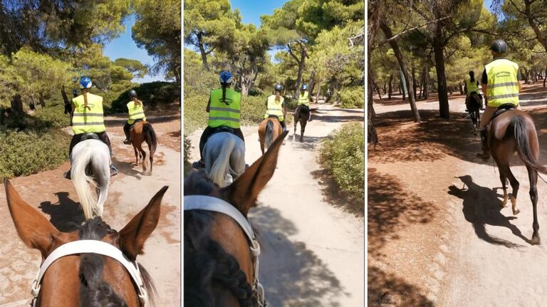 Περιπολίες έφιππου εθελοντικού σώματος Πολιτικής Προστασίας Δήμου Μαραθώνος