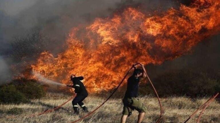 Πανελλήνιο Σωματείο Ειδικών κ Τεχνικών Δασικής Προστασίας: Στο ίδιο έργο θεατές