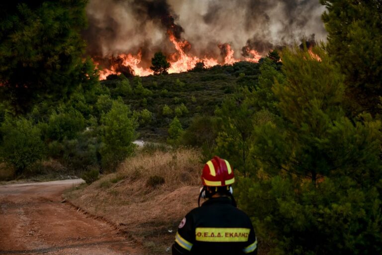 Για κακούργημα διώκεται ο εμπρηστής του Κρυονερίου βάσει του νέου Ποινικού Κώδικα