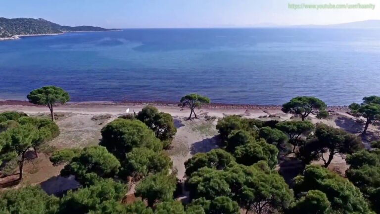 Προτάσεις του αντιδημάρχου Ευάγγελου Κυπαρίσση για την Λεωφόρο και το Εθνικό Πάρκο Σχινιά στο Δημοτικό Συμβούλιο