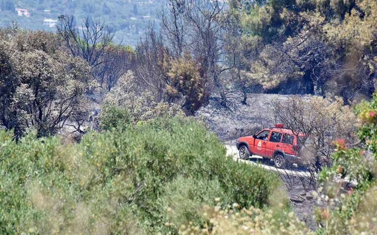 Ραφήνα- Πικέρμι: Πολύ υψηλός κίνδυνος πυρκαγιάς (ΚΑΤΗΓΟΡΙΑ ΚΙΝΔΥΝΟΥ 4) την Παρασκευή 20/8