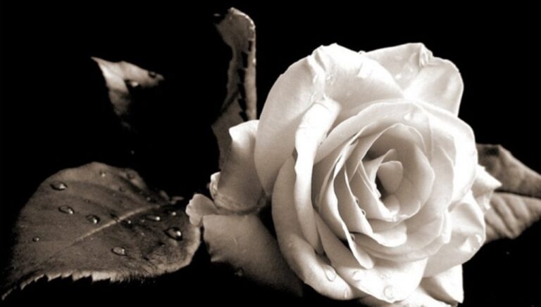 Βαθιά θλίψη στον Α.Ο. Τριγλίας Ραφήνας για την απώλεια της μητέρας του μικρού αθλητή Μάνου Κόμη